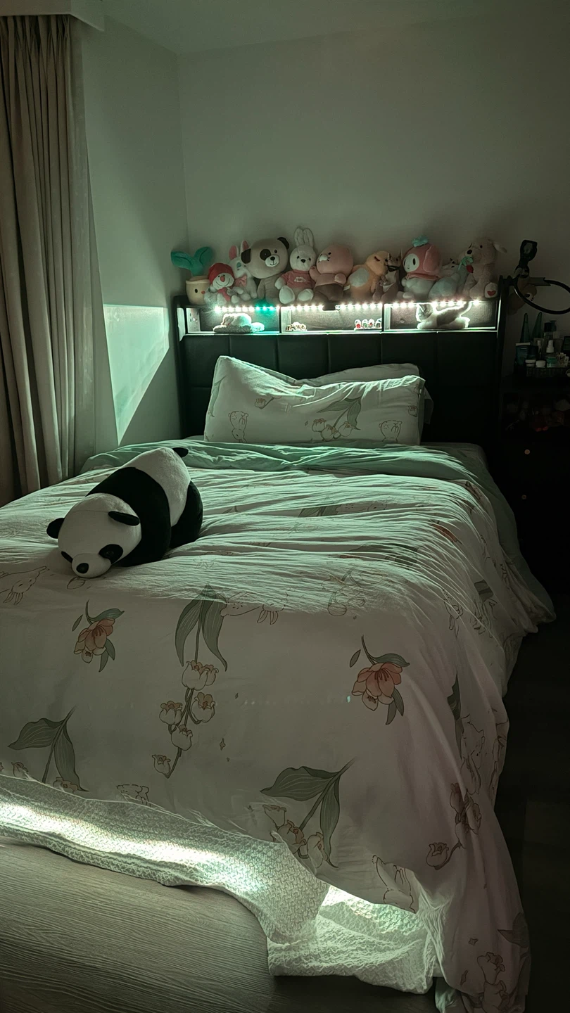 Queen Bed with Storage,Mattress and colorful lights - photo 5