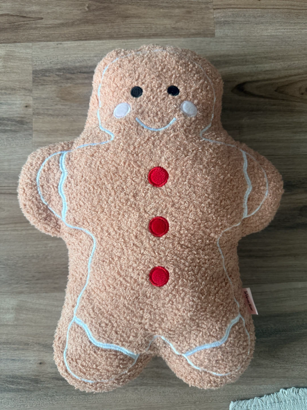 Gingerbread Hot Water Bottle holder - lavieenrose