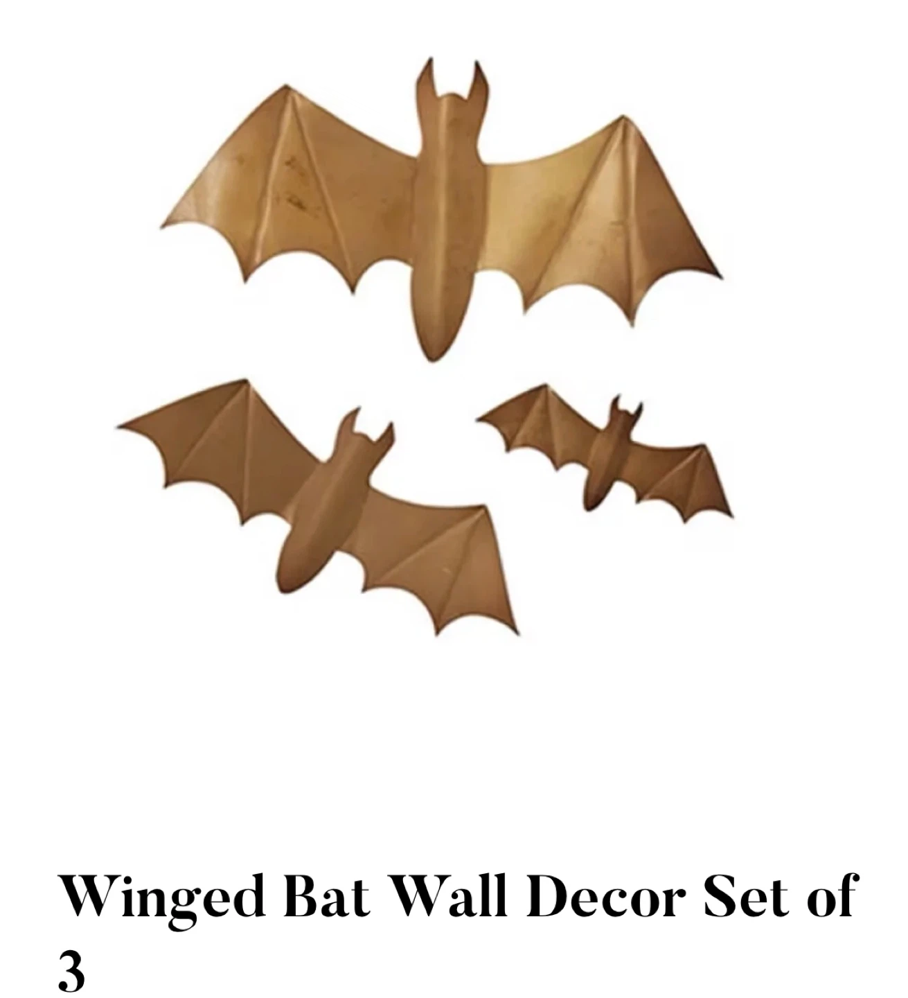 Winged Bat Wall Decor Set of 3