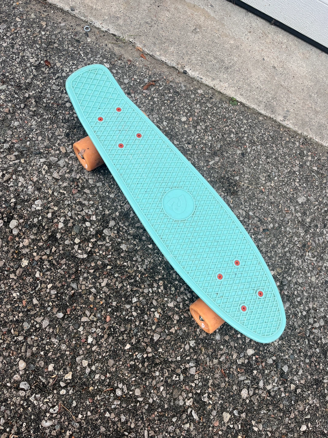 Penny Board Skateboard