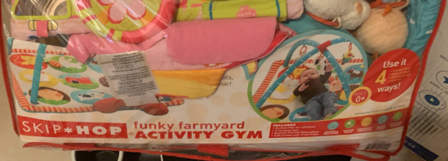 Skip Hop Funky Farmyard Activity Gym - photo 2