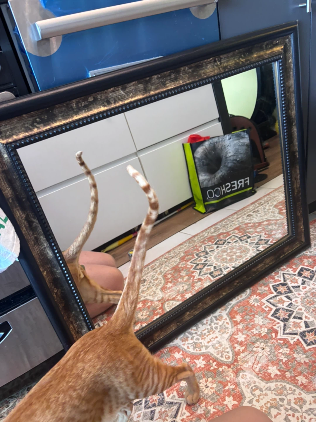 Wood frames Wall Mirror