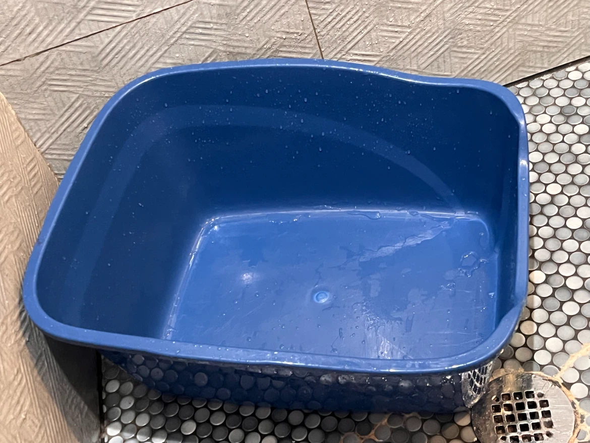 Van Ness High Sides Cat Pan