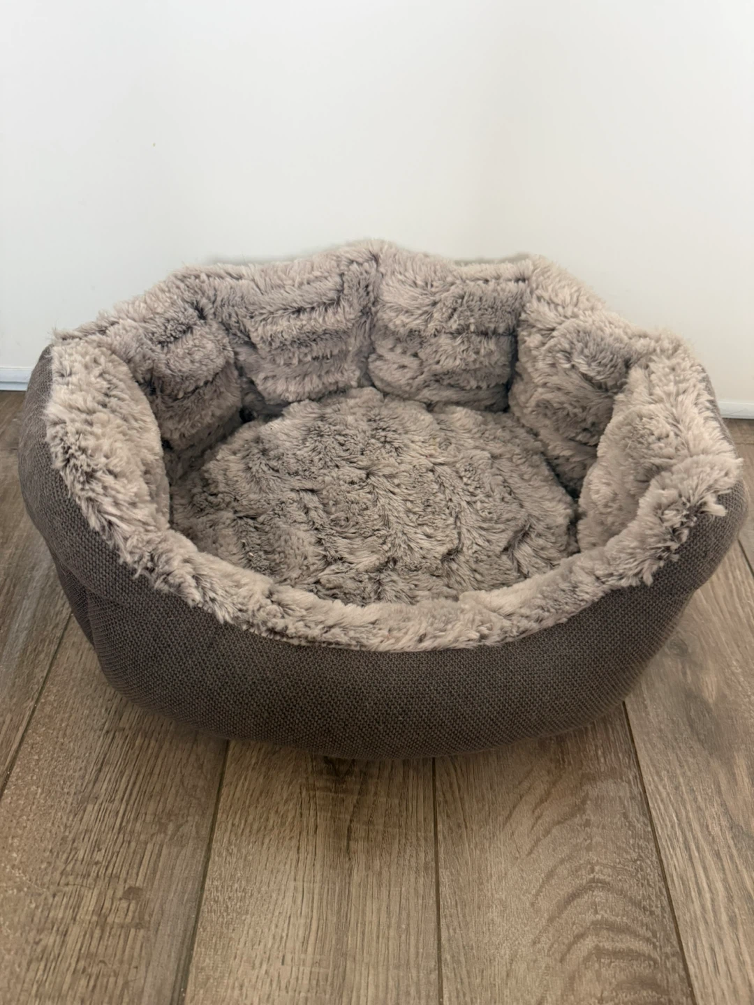 Bailey & Bella Pet Bed