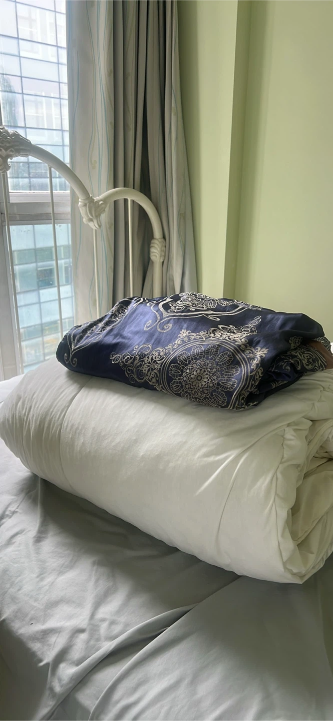 IKEA GRUSBLAD Duvet + cover