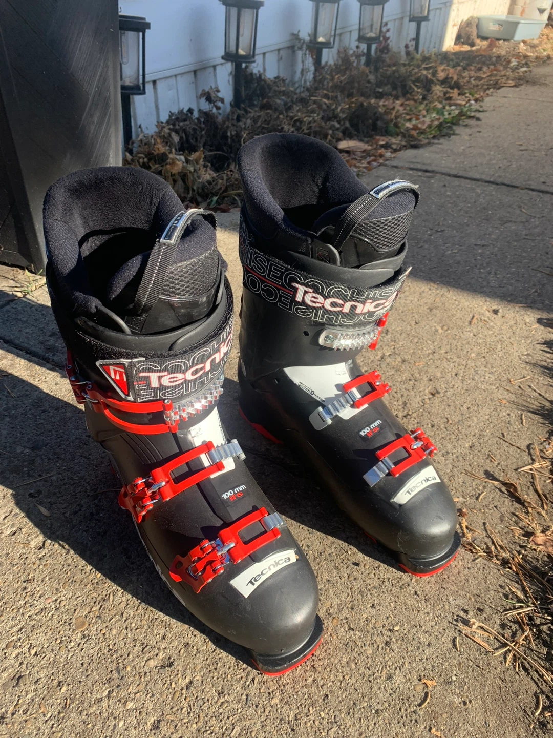 Technica Ski Boots and Dakine Bag - photo 2