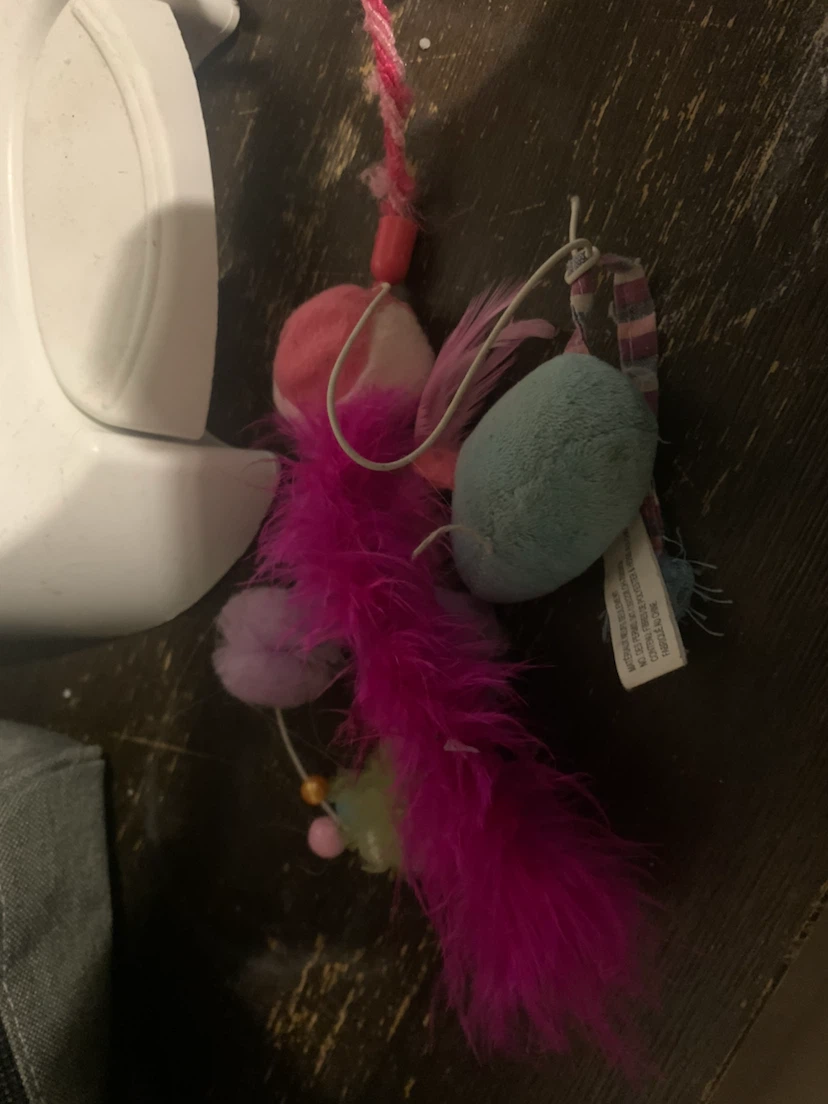 Title: Worth$140 - Today just $60!!! - photo 5