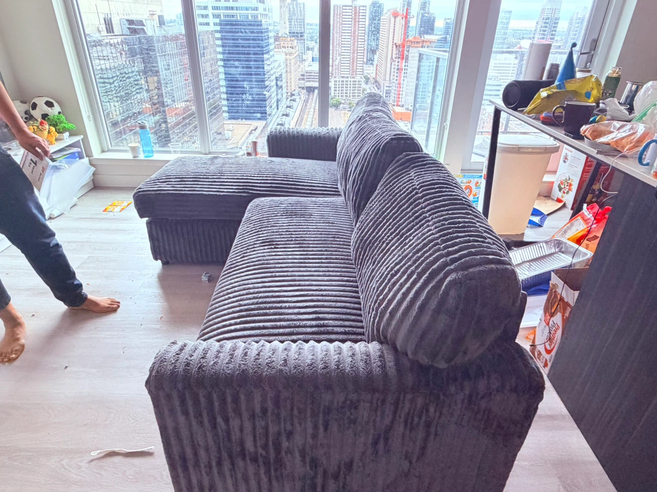 Reversible Pull-Out Sofa Bed- FREE DELIVERY within Downtown - photo 4