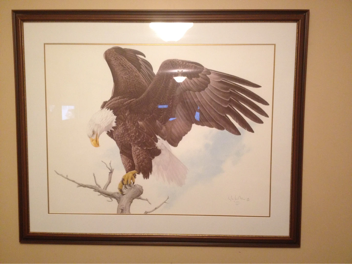 Framed Bald Eagle Art Print - photo 2