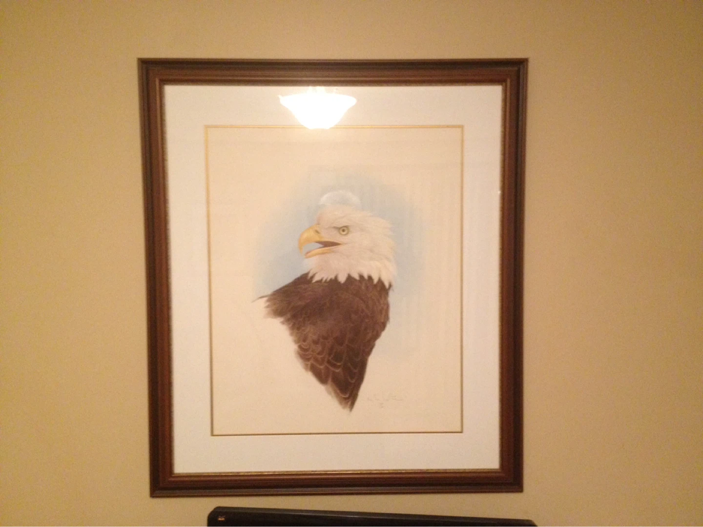 Framed Bald Eagle Art Print