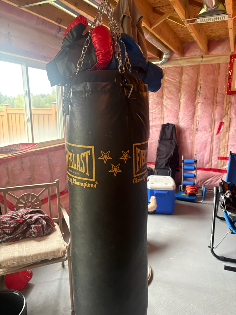 Everlast Punching Bag