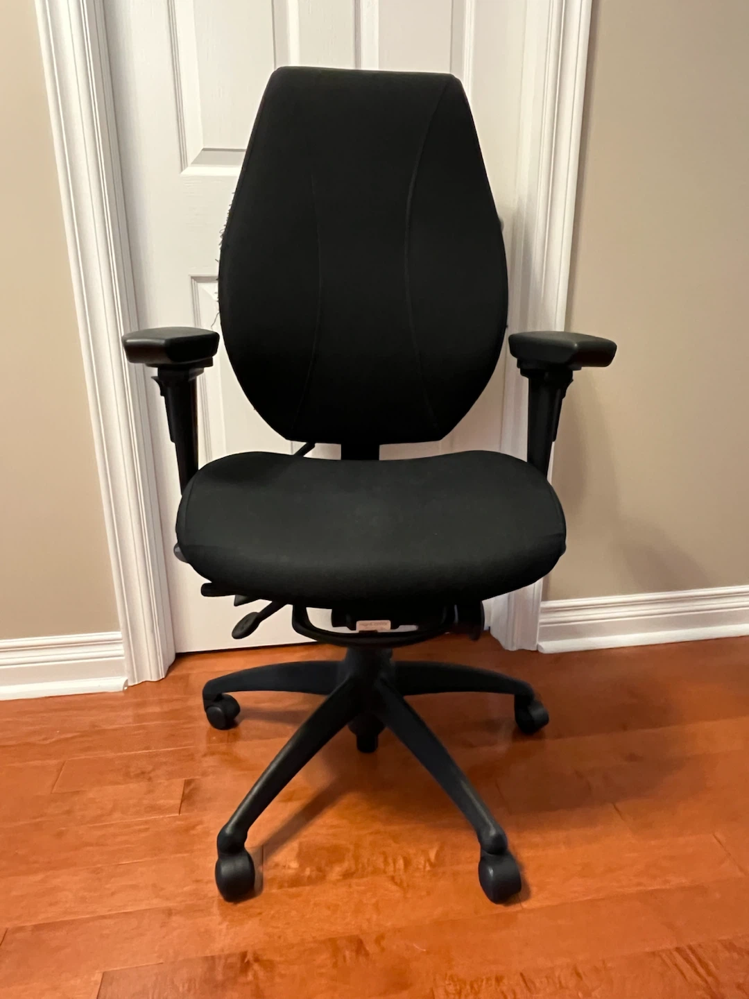 ErgoCentric Office Chair