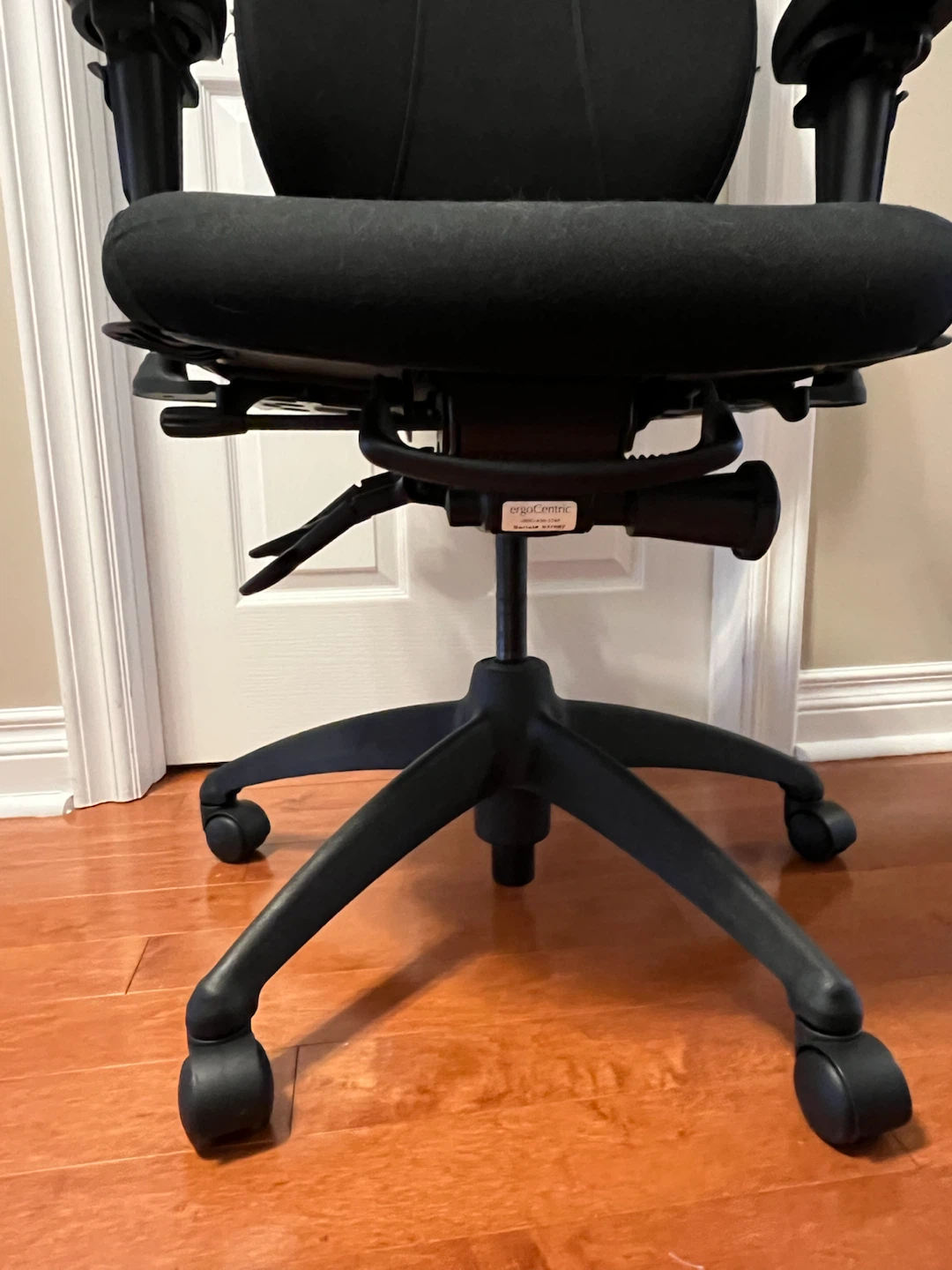 ErgoCentric Office Chair - photo 4