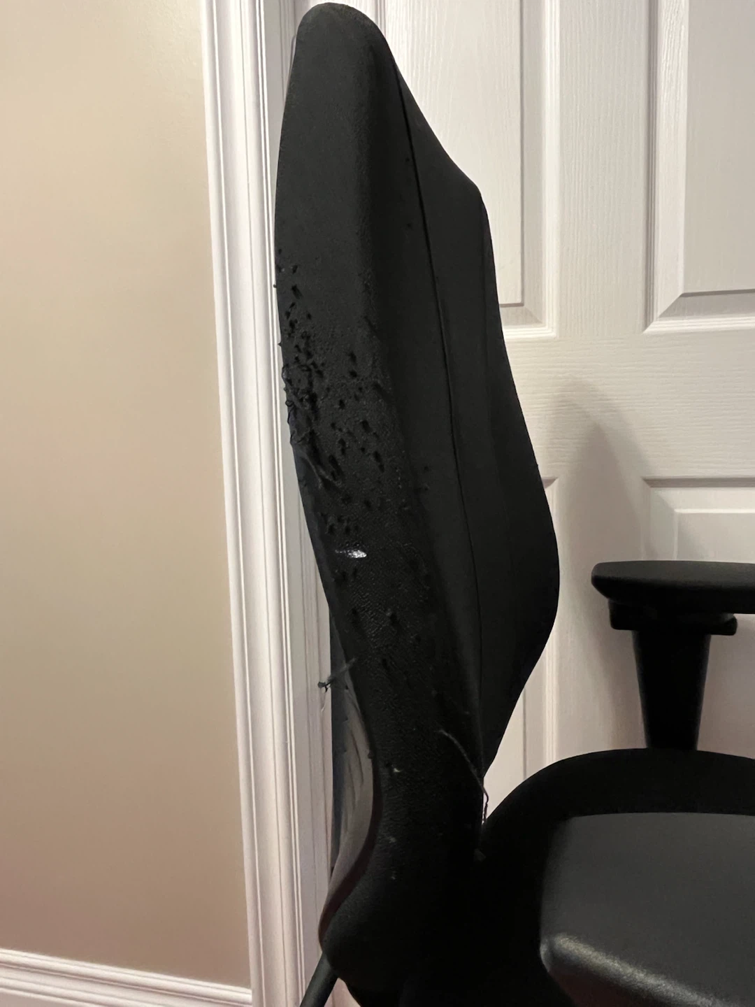 ErgoCentric Office Chair - photo 5
