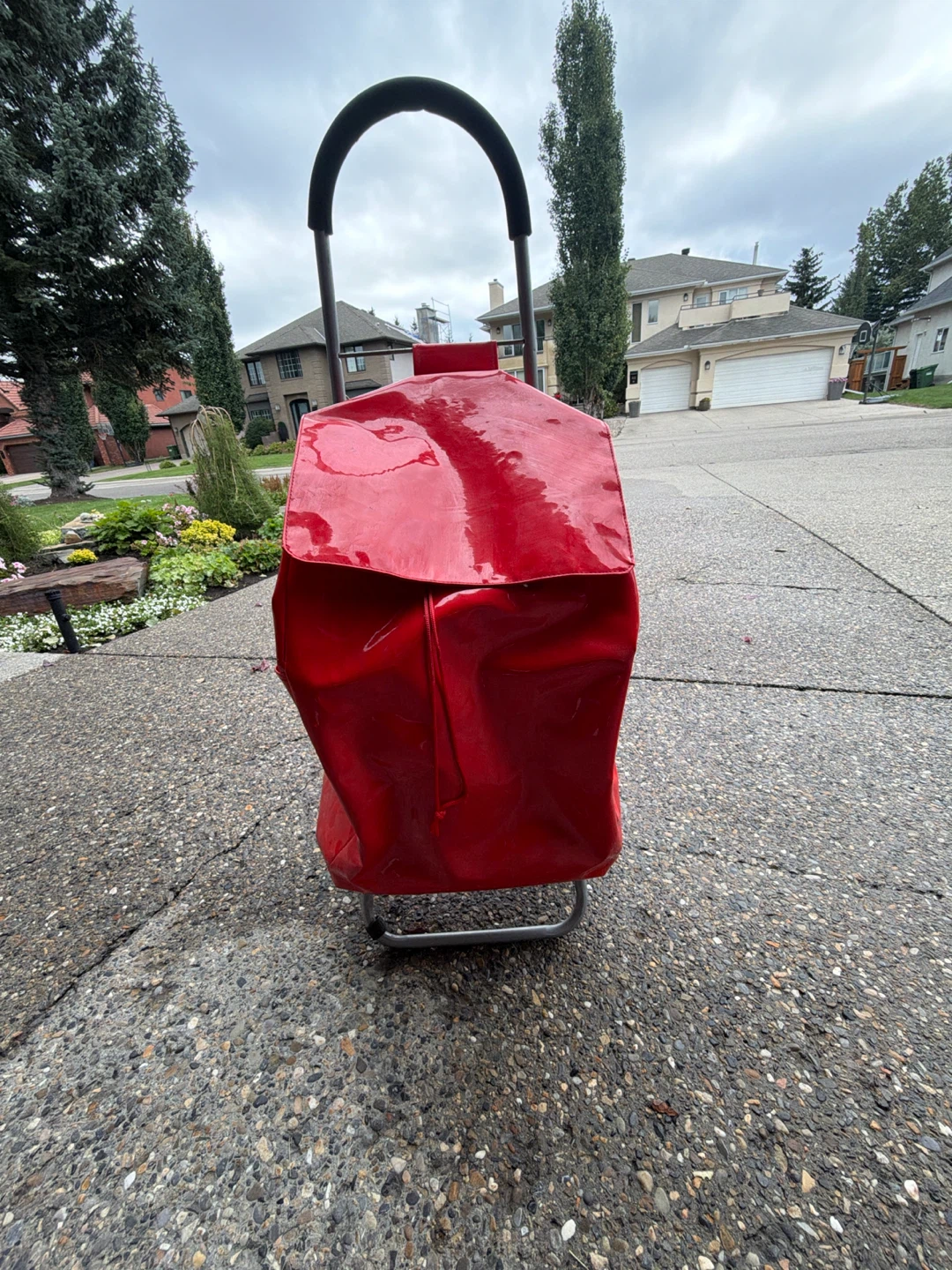 Red Shopping Cart