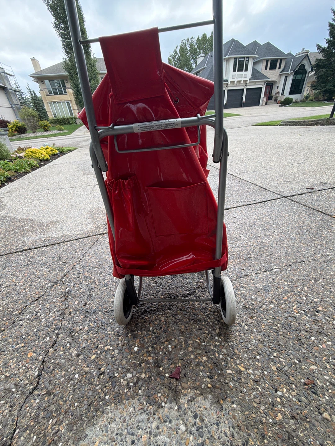 Red Shopping Cart - photo 2