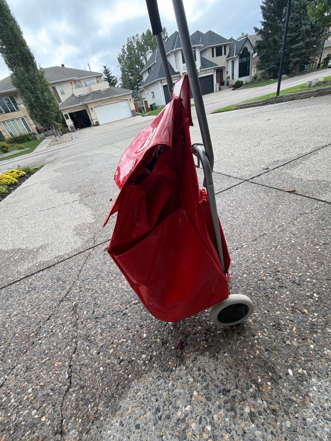 Red Shopping Cart - photo 3