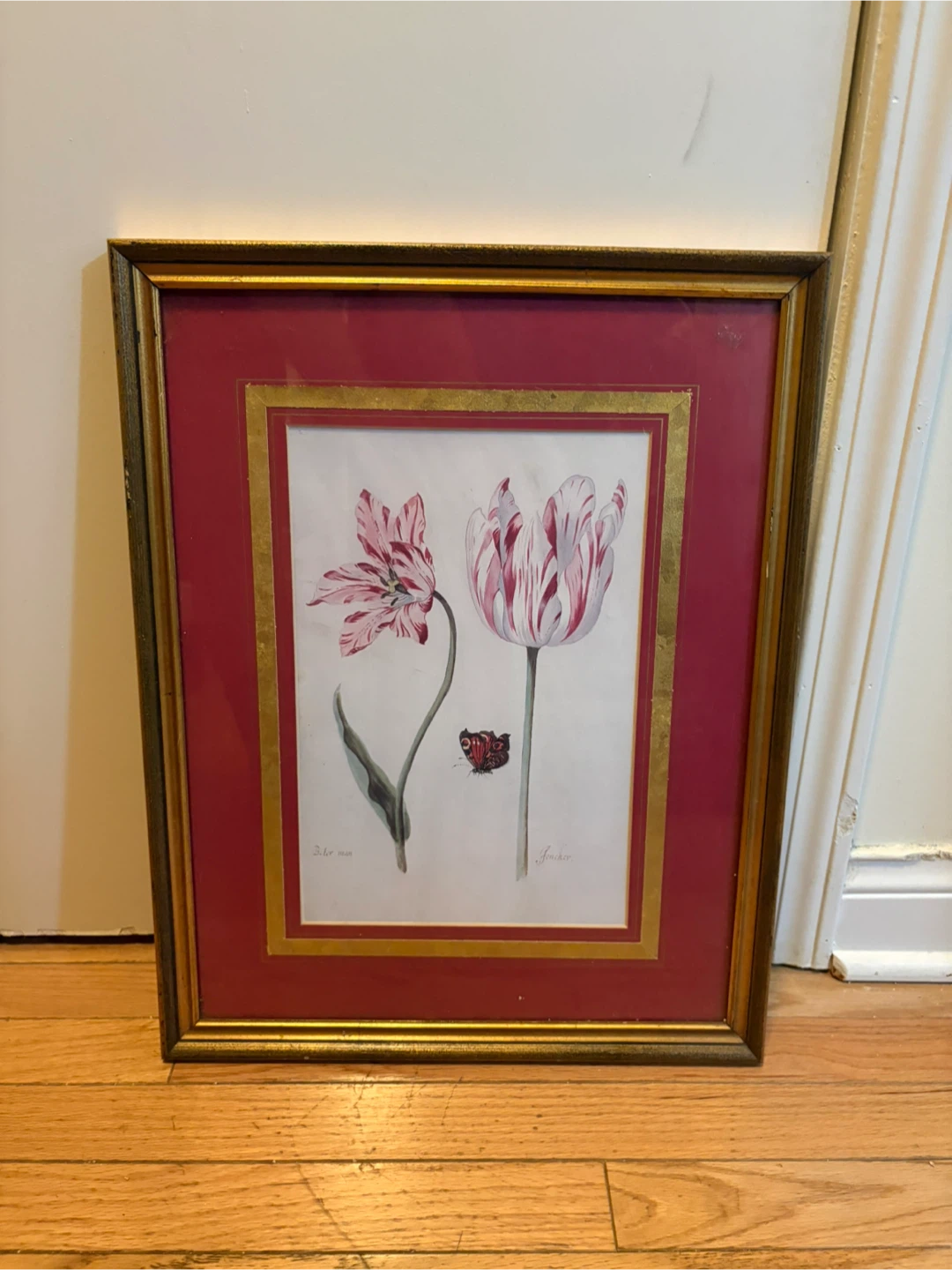 Framed Botanical Print