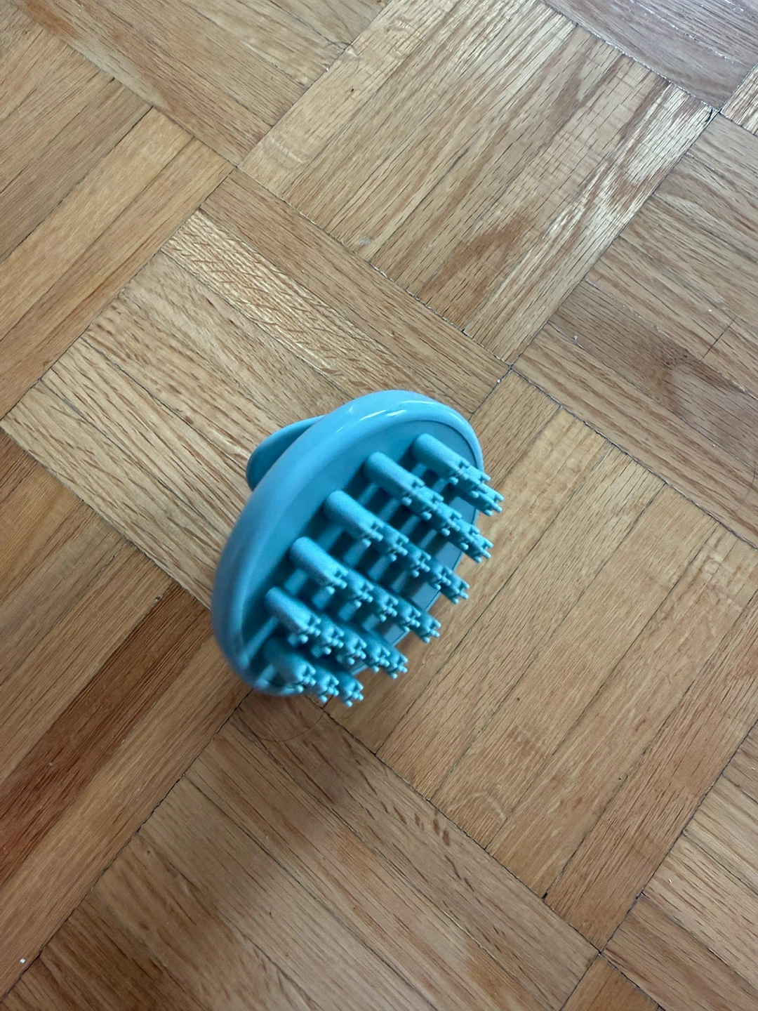 Blue Scalp Massager