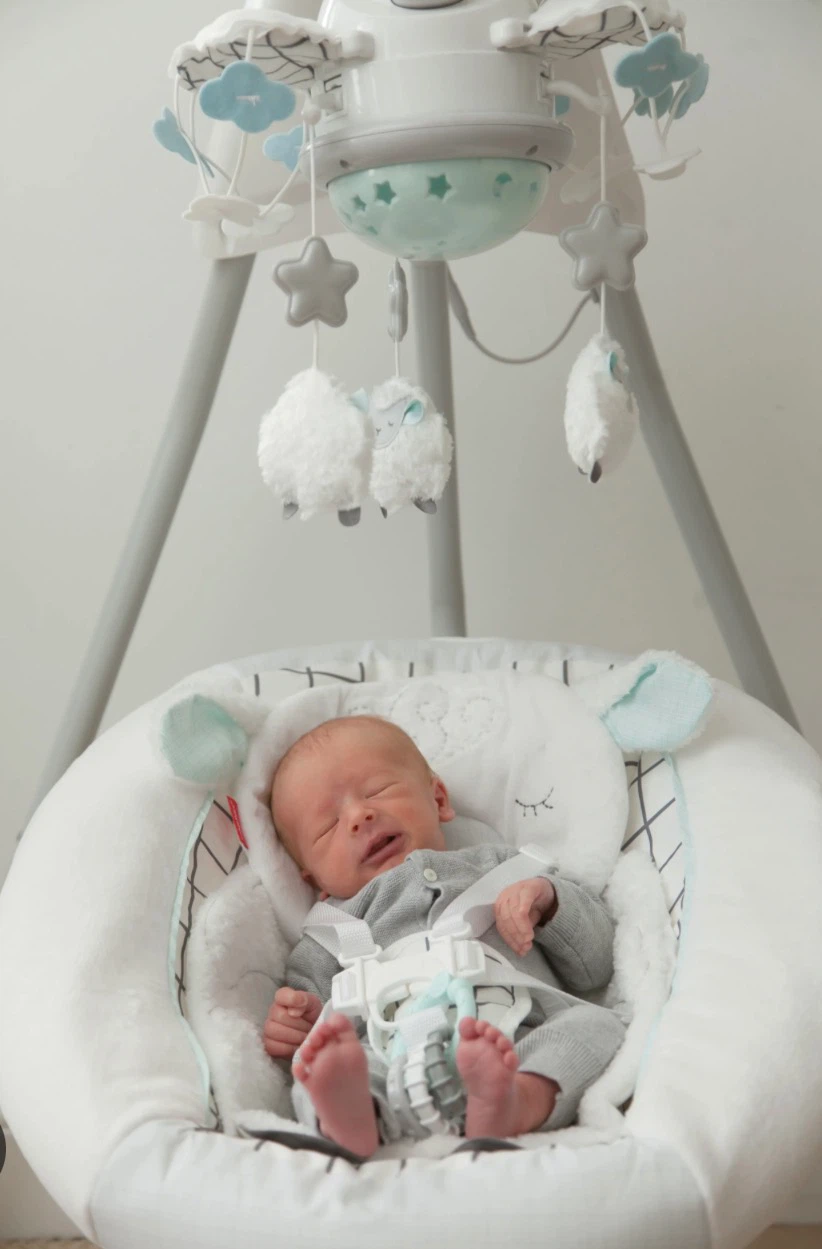 Fisher Price My Little Lamb Swing - photo 2