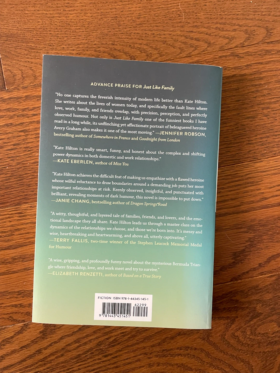 EUC Just Like Family by Kate Hilton Novel - photo 3