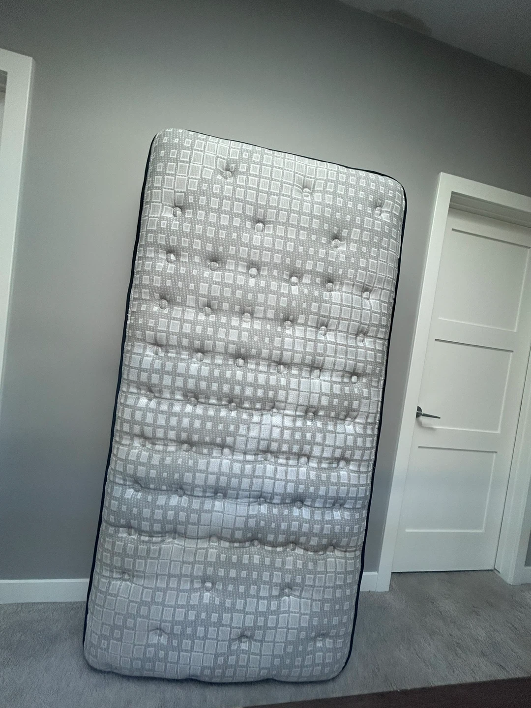 Brand new Single/Twin Sealy Mattress