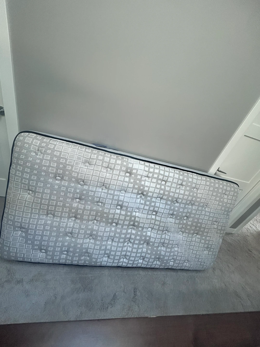 Brand new Single/Twin Sealy Mattress - photo 2