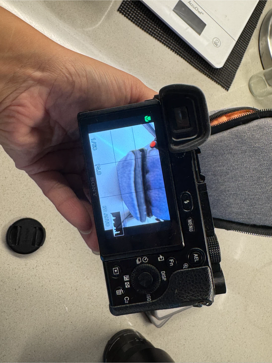 Sony Alpha a6100 Mirrorless Camera with 16-50mm Lens - photo 4