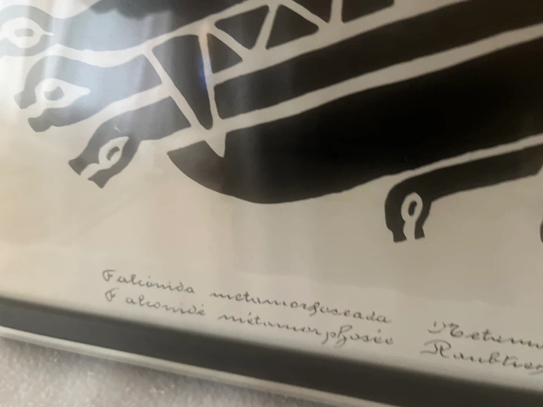Framed Art “Bird Metamorphosed" by Chavín de Huántar, Peru - photo 4
