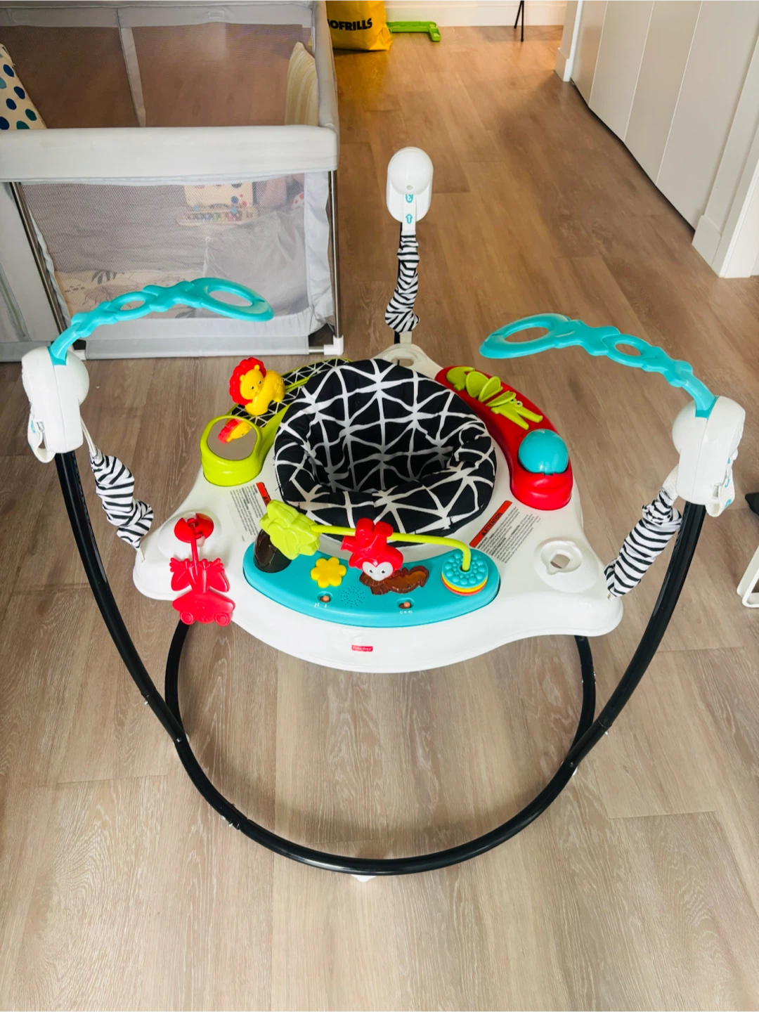Fisher-Price Jumperoo