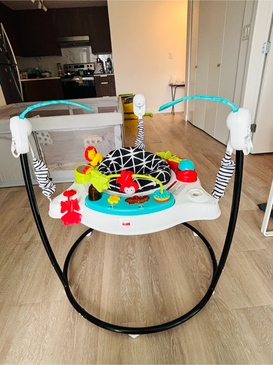Fisher-Price Jumperoo - photo 2