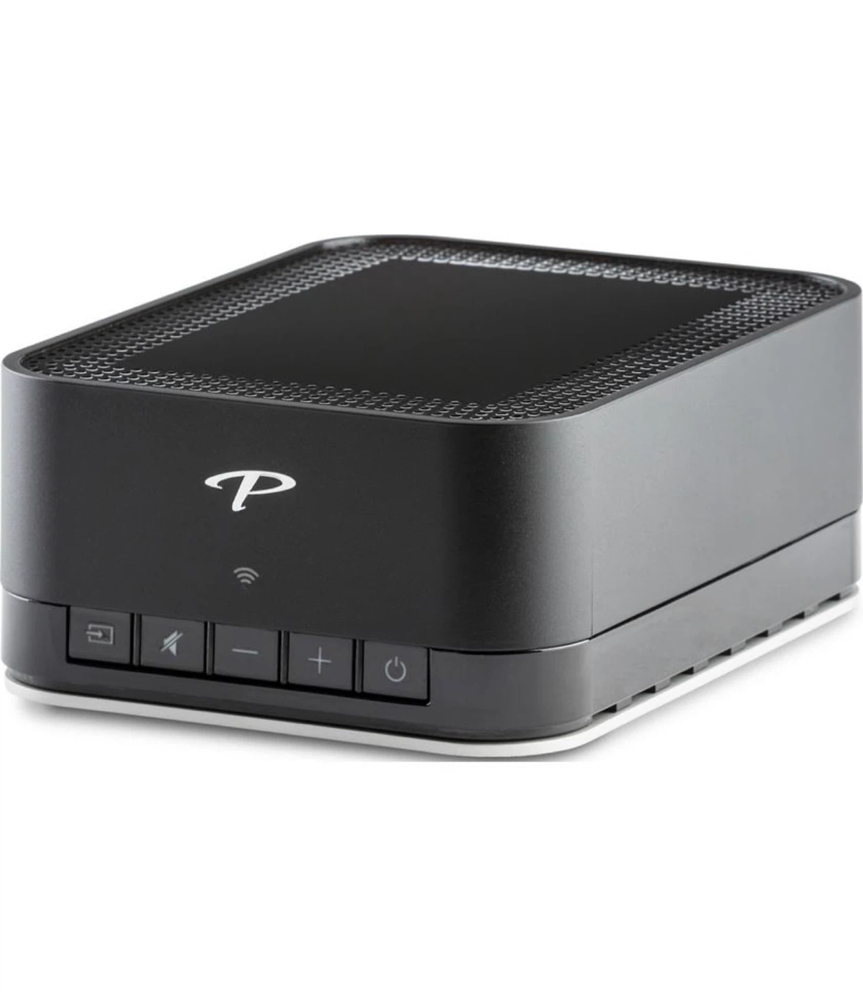Paradigm PW Amp