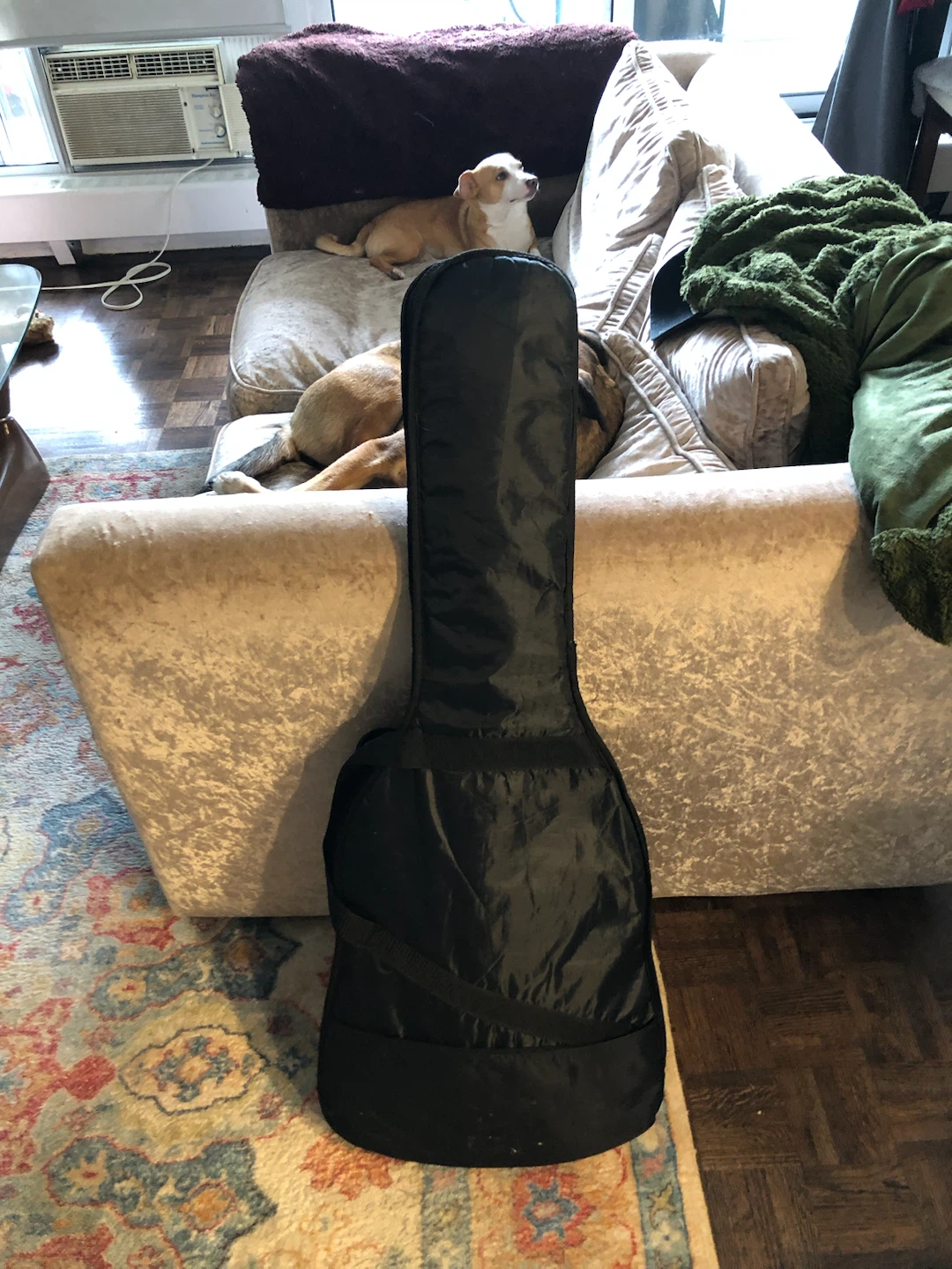 Electric Guitar - photo 4