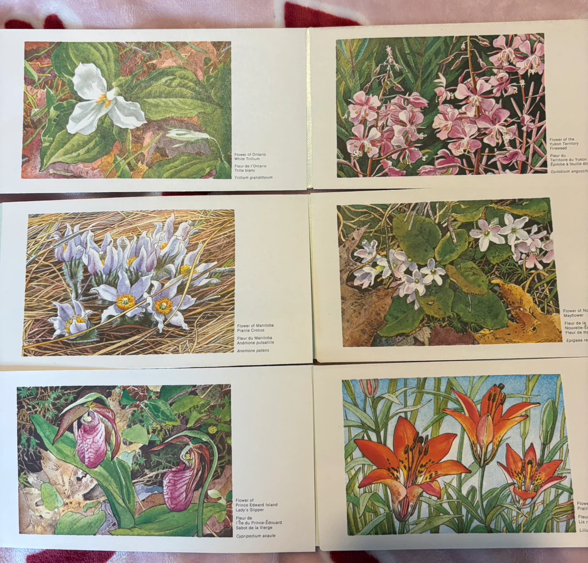 Vintage Complete 12-Card Set Canadian Provincial Floral Emblems