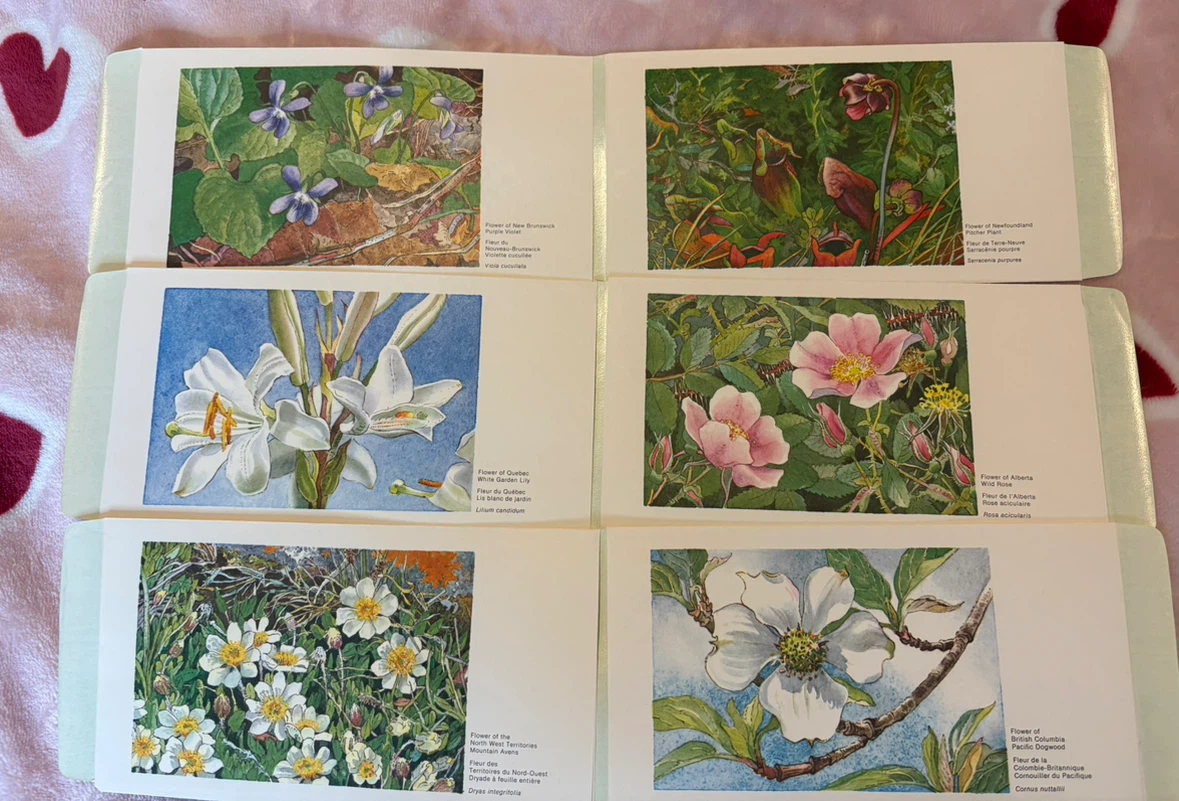 Vintage Complete 12-Card Set Canadian Provincial Floral Emblems - photo 2