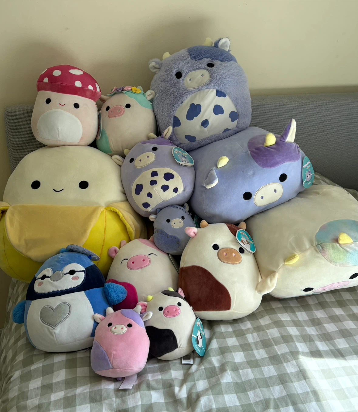 Squishmallows Plush Toys - new with tags