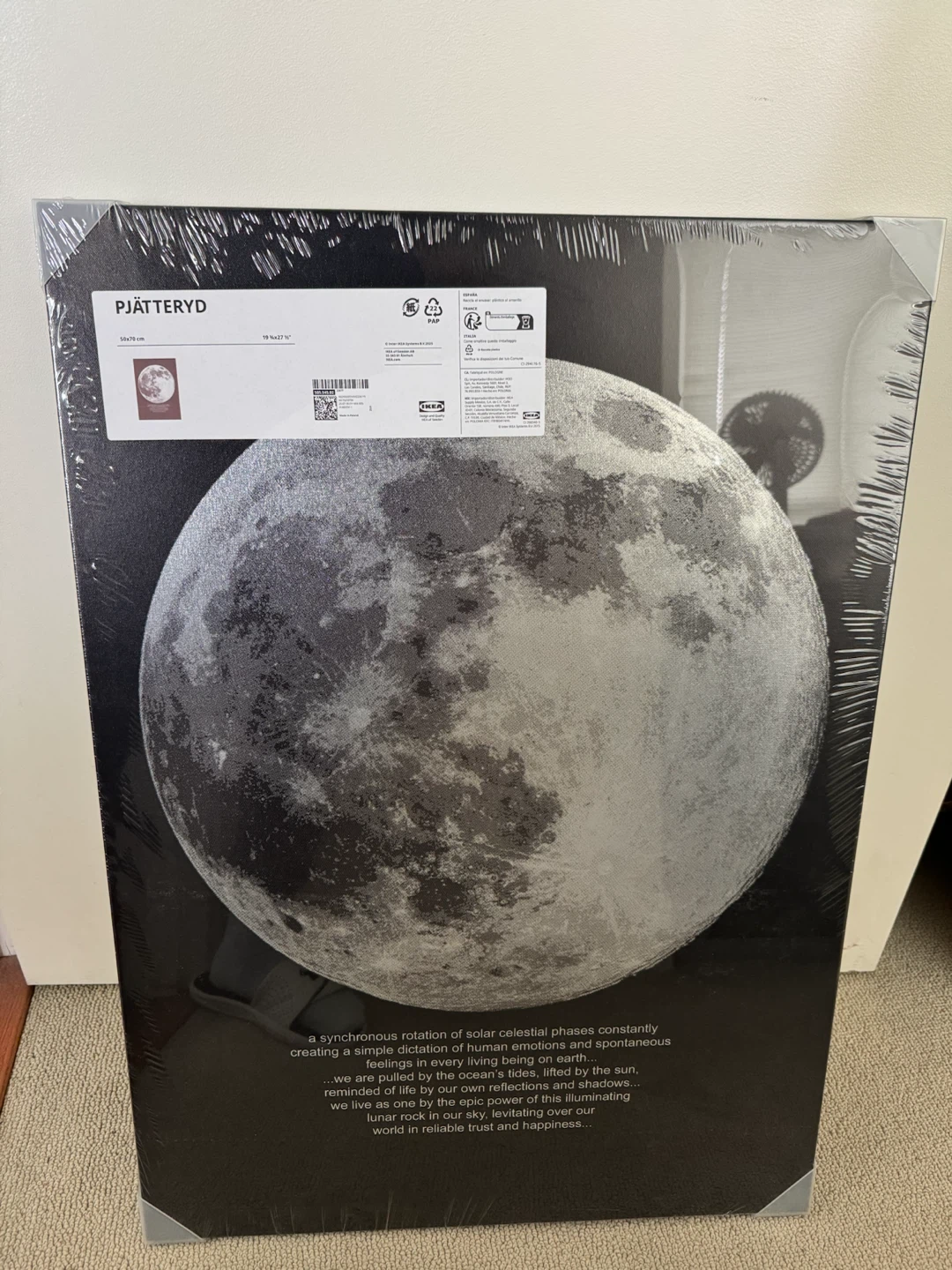 IKEA PJÄTTERYD Wall Art - Moon