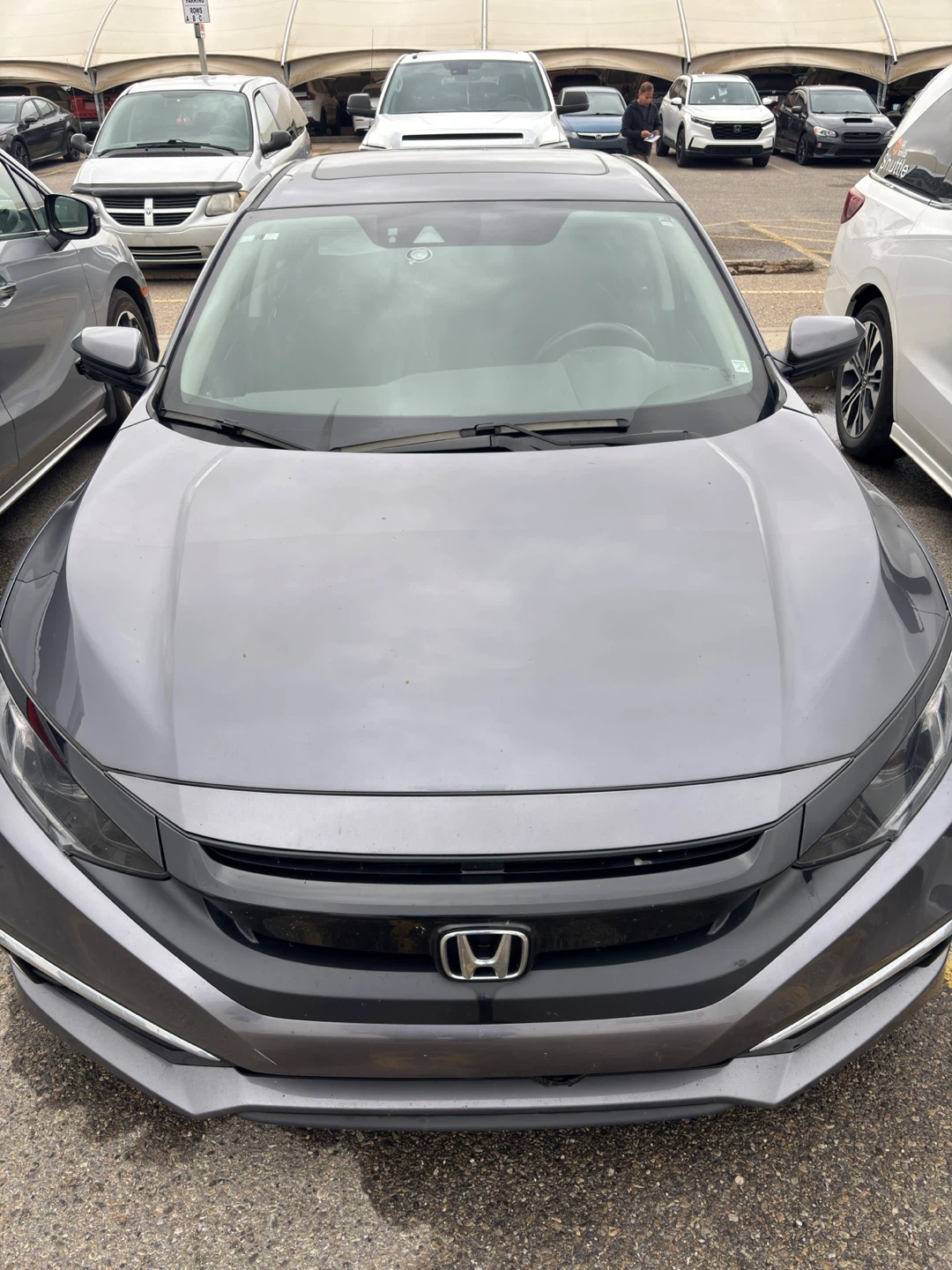 2020 Honda Civic, clean CARFAX, dealership maintained - photo 4