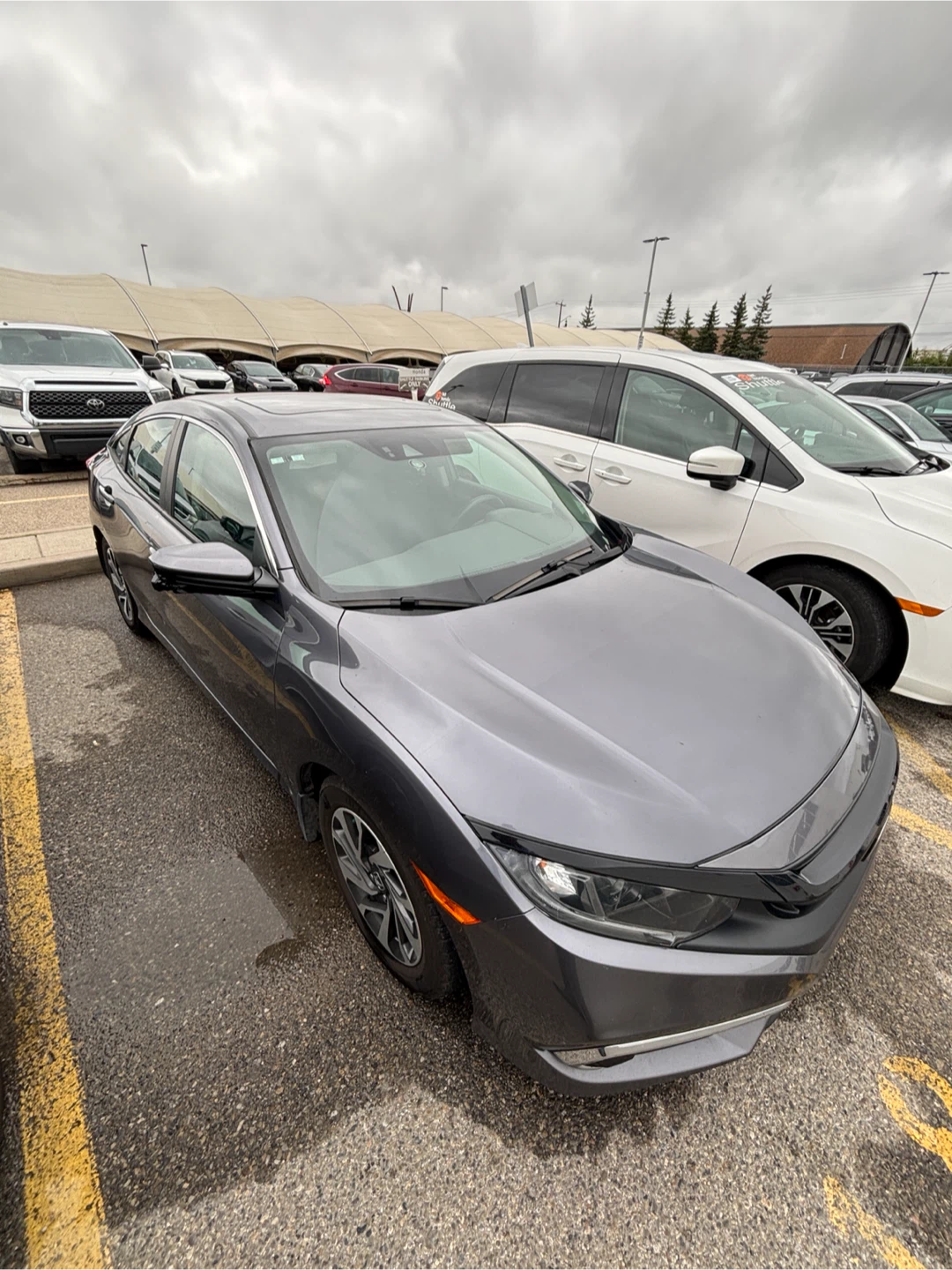 2020 Honda Civic, clean CARFAX, dealership maintained - photo 5