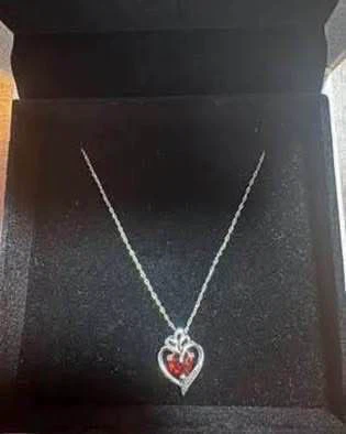 January Garnet birthstone necklace (New) (Authentic)
