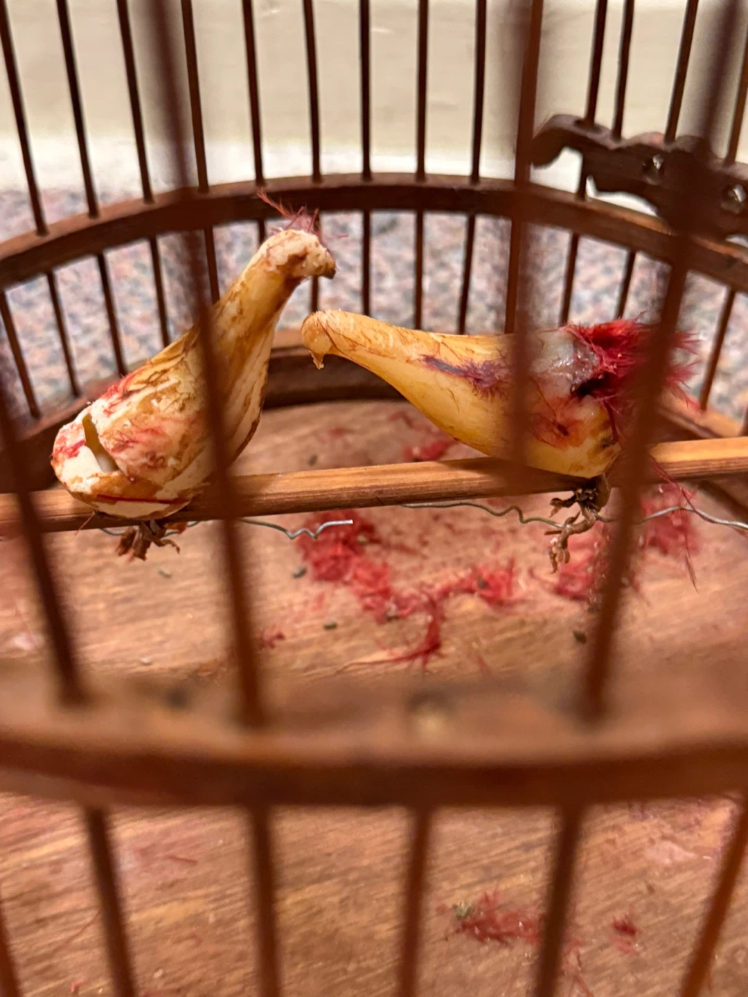 Vintage Bamboo Bird Cage - photo 3