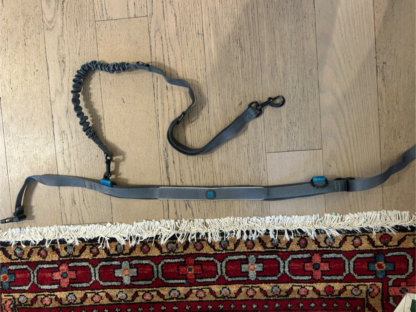 Hands-Free Bungee Dog Leash - photo 2