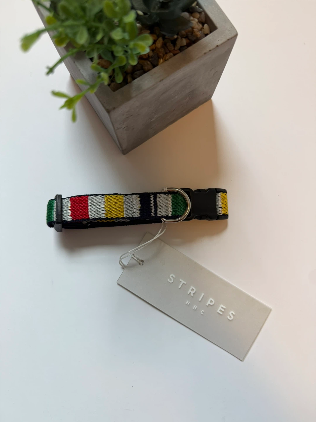 HBC Stripes Dog Collar