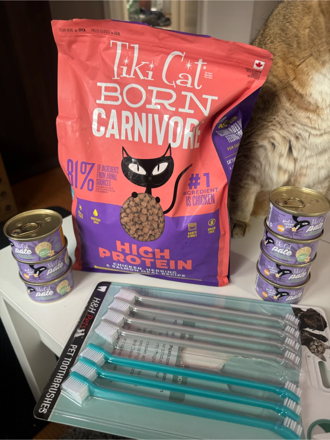 Tiki Cat Born Carnivore High Protein Dog Food & Pate - photo 2