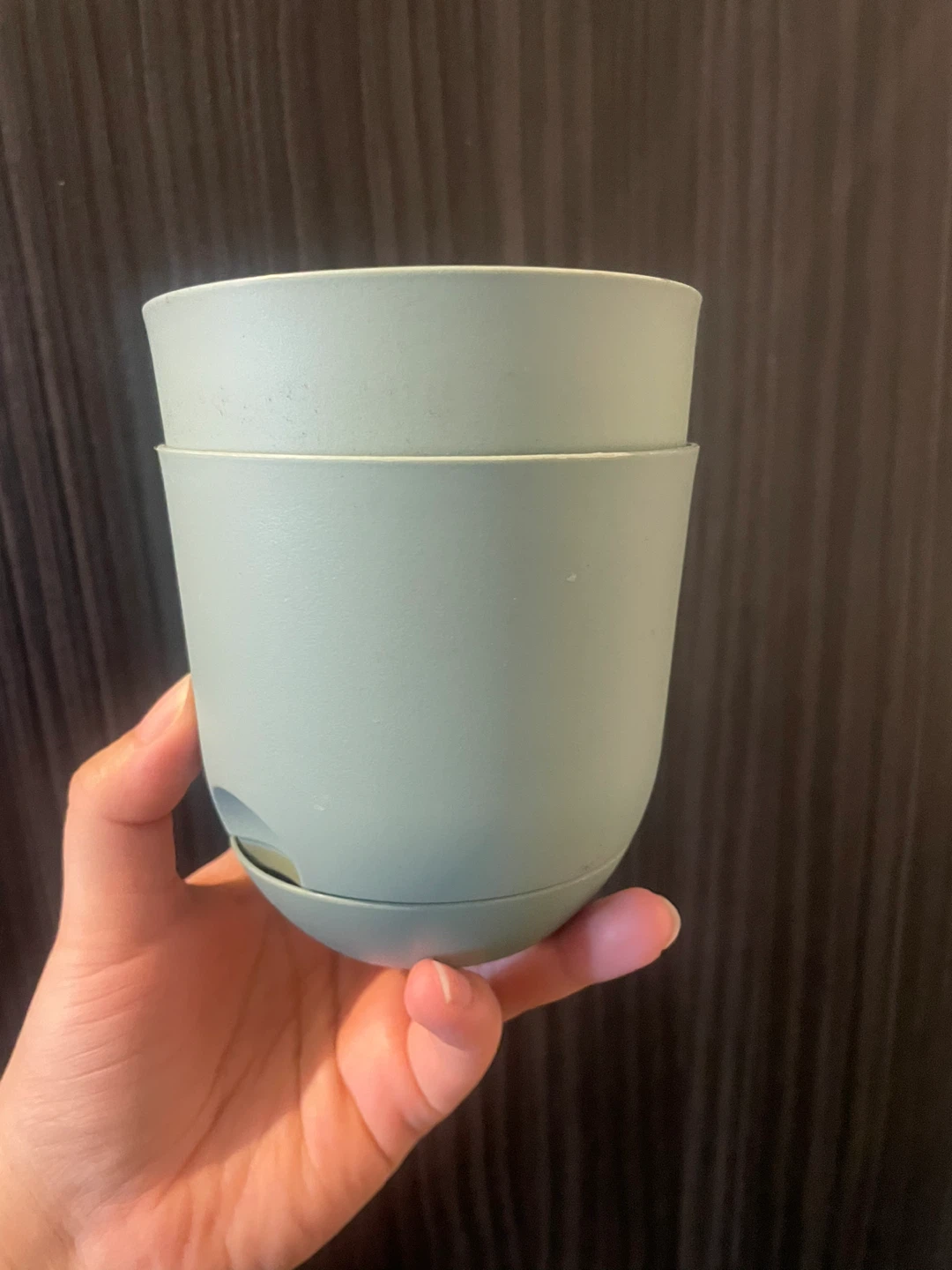 Self watering planters