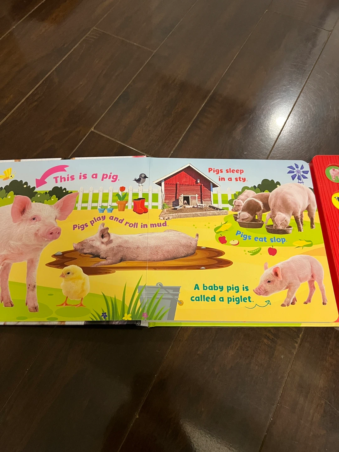 First Animal Facts Farm Sound Book - photo 2
