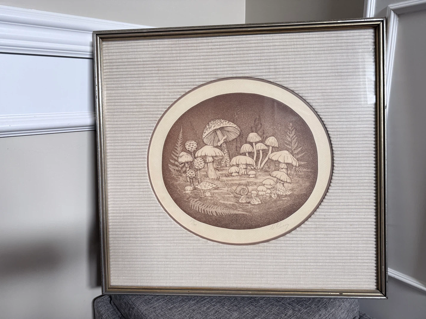 Framed Mushroom Print by D. Curry