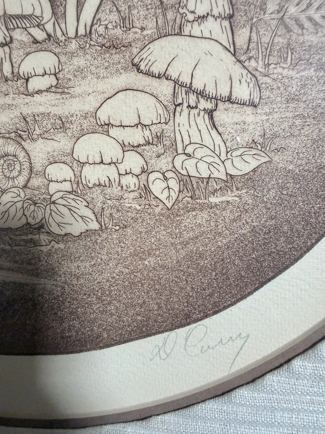 Framed Mushroom Print by D. Curry - photo 2