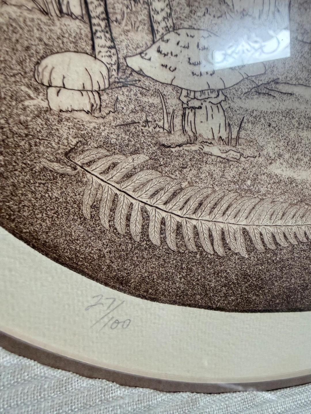Framed Mushroom Print by D. Curry - photo 3
