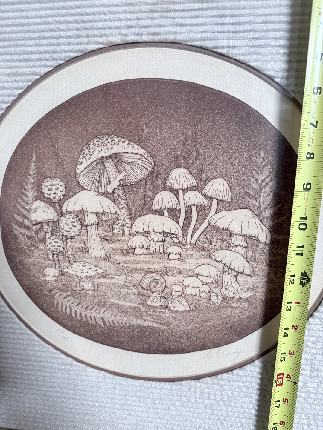 Framed Mushroom Print by D. Curry - photo 4